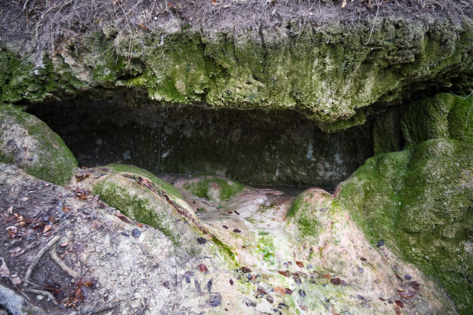 Tüfels Chuchi (ctd_a702d213-a688-440c-a877-7fe6643e3b01_image) Tüfels Chuchi (ctd_a702d213-a688-440c-a877-7fe6643e3b01_image)