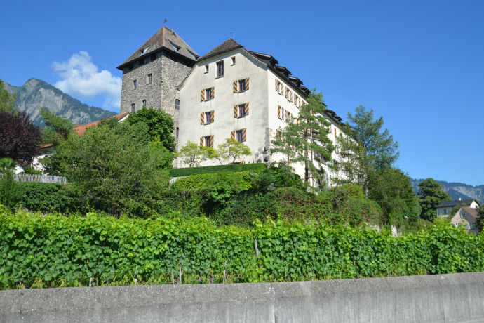 Schloss Maienfeld (ctd_a7b893f1-31ea-489d-a729-c7f31f4d6d16_image) Schloss Maienfeld (ctd_a7b893f1-31ea-489d-a729-c7f31f4d6d16_image)