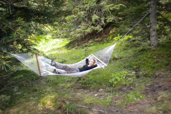 Hammock Forest (ctd_a912908e-ced2-47d5-bad5-52074d5eb493_image) Hammock Forest (ctd_a912908e-ced2-47d5-bad5-52074d5eb493_image)