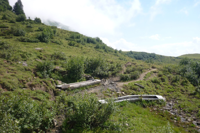 Quelle (ctd_ab113f8e-033d-4b76-803f-ccc308215d46_image)