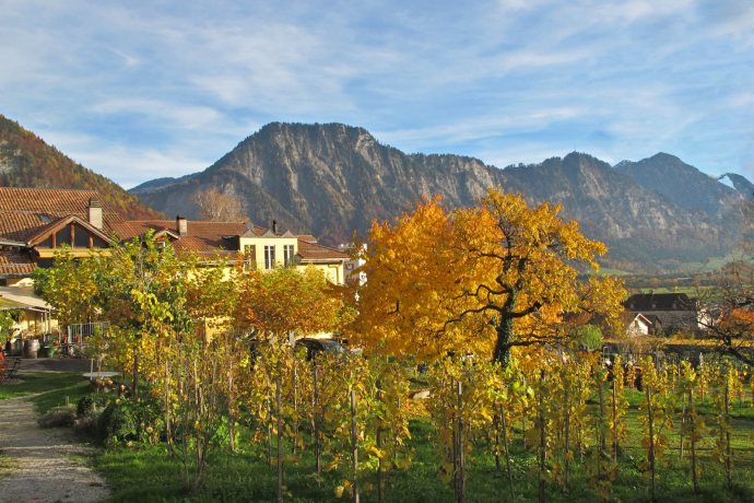 Weingut Fromm, Malans (ctd_c675b433-382e-4ac0-a258-a3fa594ea333_image) Weingut Fromm, Malans (ctd_c675b433-382e-4ac0-a258-a3fa594ea333_image)