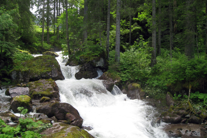 Gsponbachfall (ctd_d2dabc41-c1ac-471d-bb75-400b4db0c302_image)