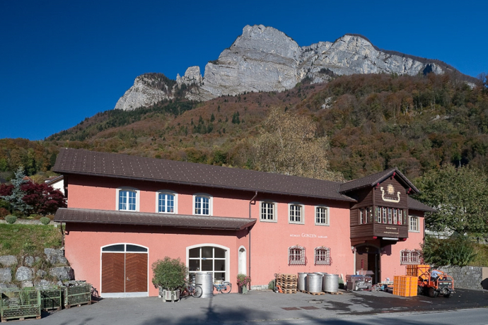 Weingut Gonzen (ctd_e3d5aee9-37e9-458c-8b7f-8a70d1e35761_image)