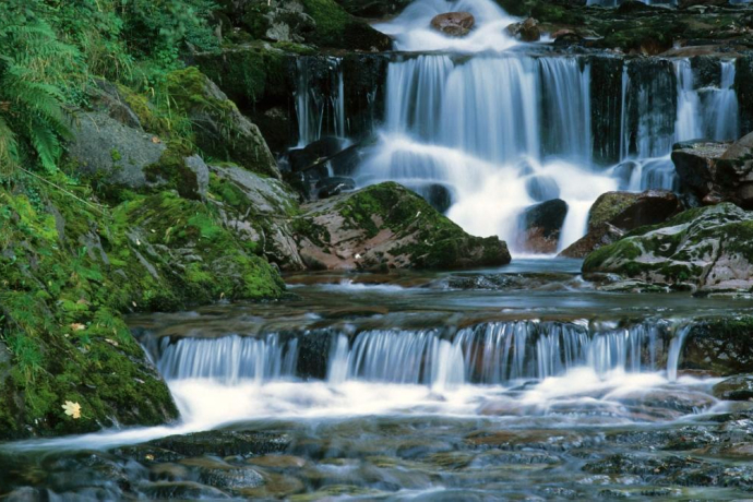 Murgbachschlucht (ctd_f8431716-6c49-460c-a411-de8f8cbcf3c5_image)