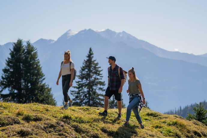 Ticket Crap Sogn Gion Bergbahn ab Laax (exp_7d60585)