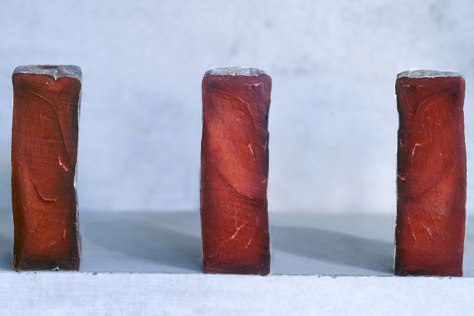 Visite guidée de l'artisanat alpin de la viande séchée, dégustation comprise (exp_8c7f6ed)