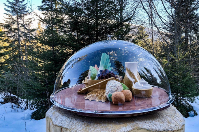 Self-Guided Culinary Trail Forest and Winter (exp_b6a0a36)