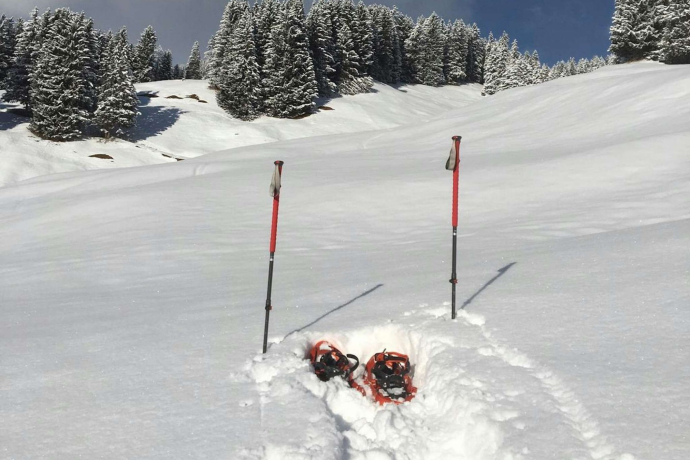 Escursione privata con racchette da neve a Arosa (exp_bd86d7e)