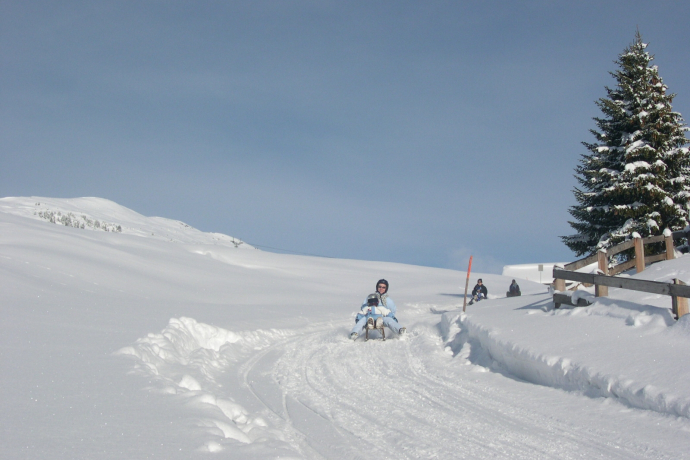 Night sledging (gdl_281043139_image)