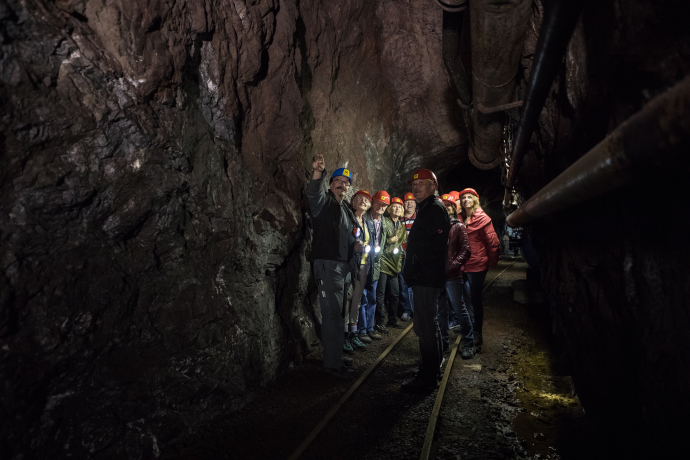 Grandes visites guidées de la mine Gonzen Sargans (gdl_466698457_image)