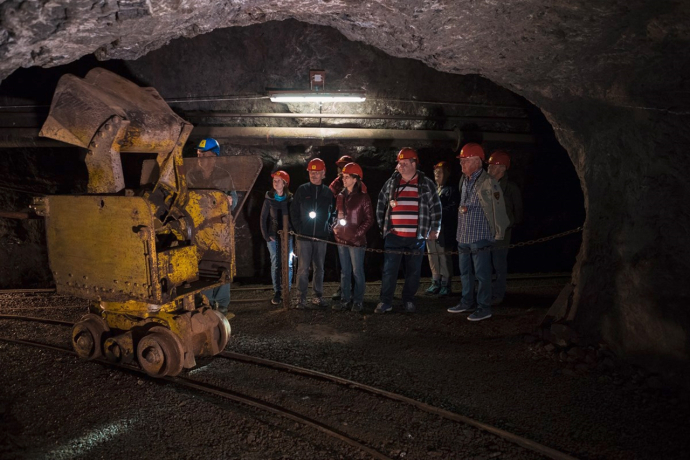 Visite guidée de 1 jour de la mine Gonzen (gdl_510769516_image)