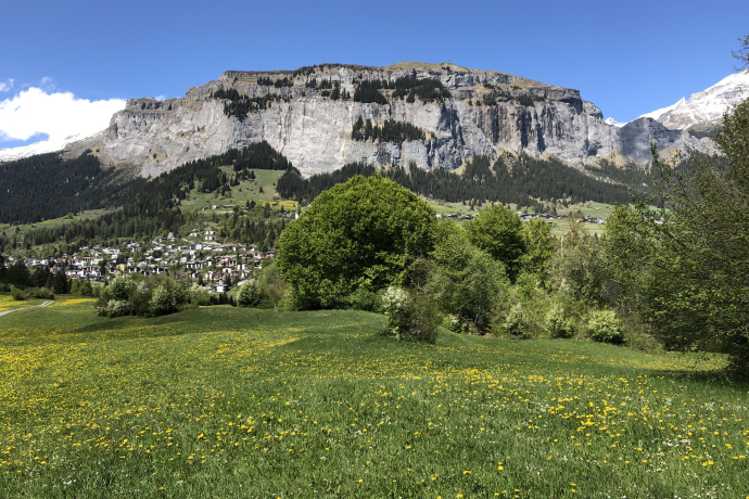 Geologische und geschichtliche Wanderung im Uraltbuchenwald (gdl_595213103_image)