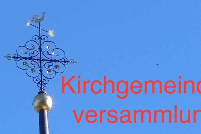 Budget-Versammlung (gdl_634349764_image)