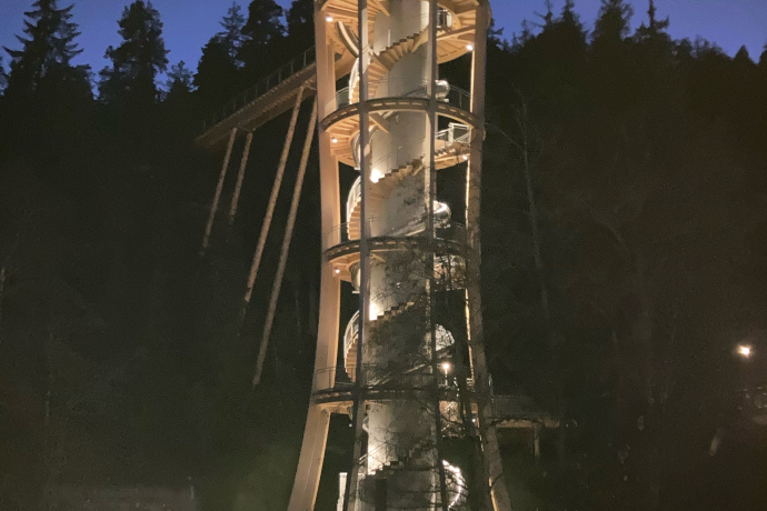Geological hike on the longest treetop path in the world (gdl_668149959_image)