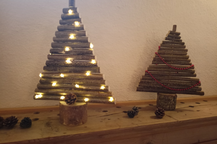 Advent aus der Schachtel (gdl_744238383_image)