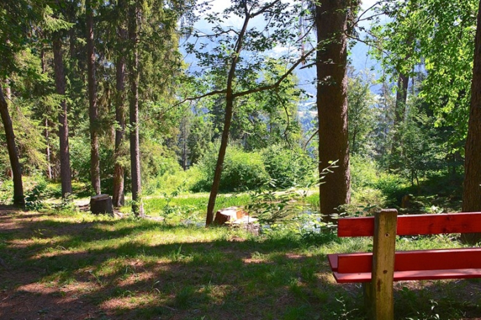 Ökumenischer Gottesdienst im Grünen (gdl_752609219_image)