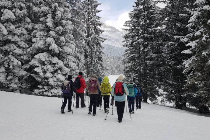 Hike for senior citizens (gdl_785345989_image)