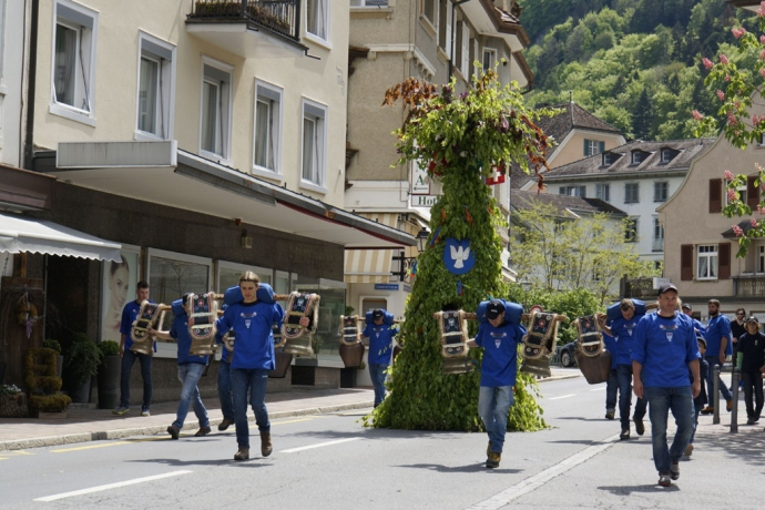 May bear - Living custom in Bad Ragaz (gdl_787690216_image)