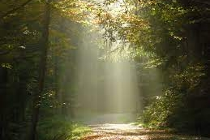 Konfirmationsunterricht (gdl_797625975_image)