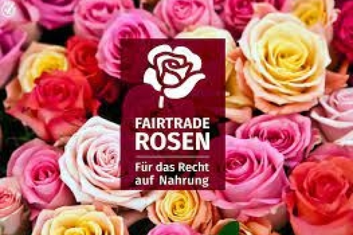 Confirmation Project Rose Sale (gdl_797625981_image)