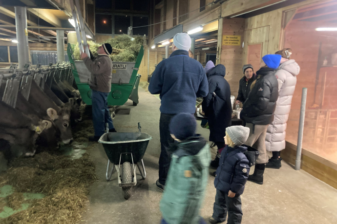 Stable visit and tasting of regional dairy products (gdl_810858665_image)