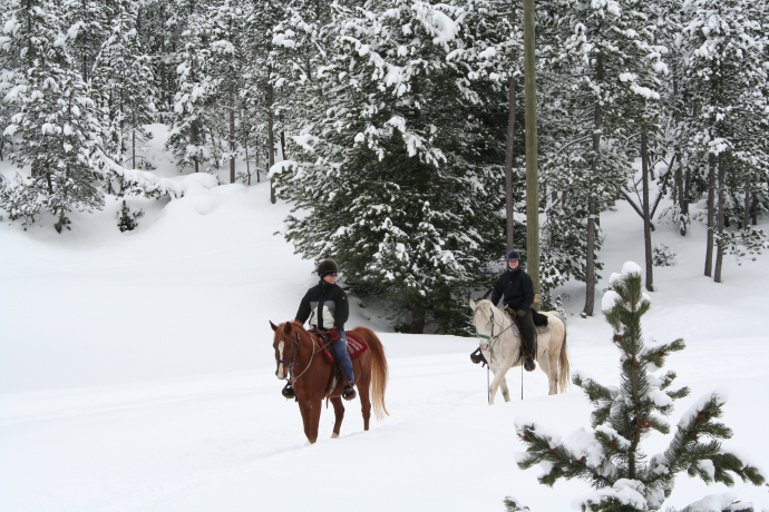Ausritt für alle (gdl_810858685_image)