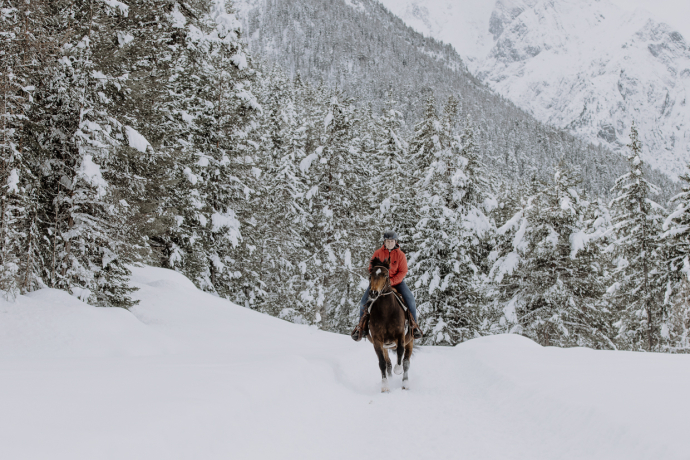 Halbtagesritt (gdl_810858740_image)