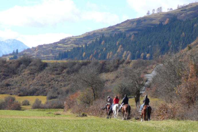 2-day horse riding to Val Sinestra and the Zuort farm (gdl_810859096_image)