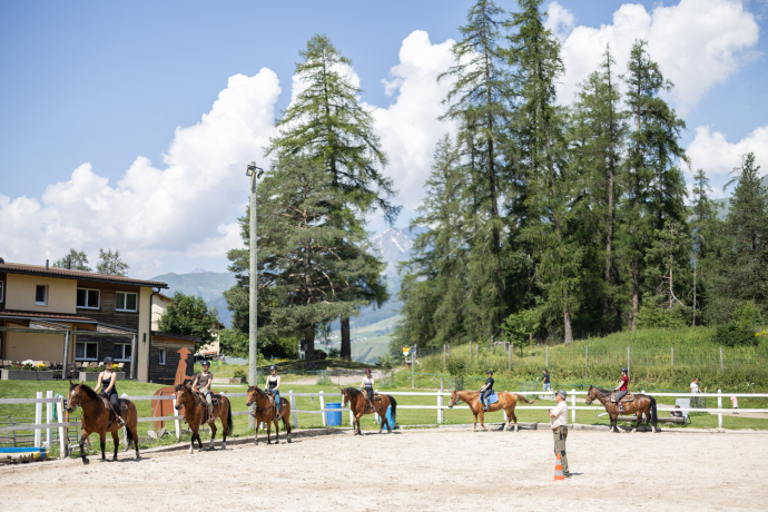 Reitunterricht für Anfänger (gdl_819294433_image)