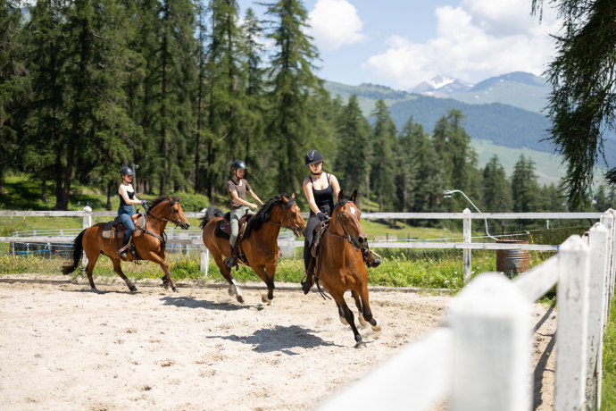 Horse riding lessons for advanced (gdl_819294434_image)