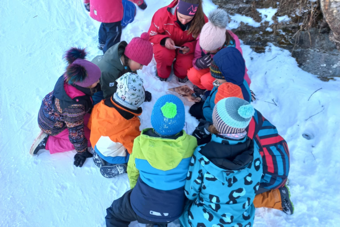 Schatzsuche in Obersaxen-Chummenbühl (gdl_827656788_image)