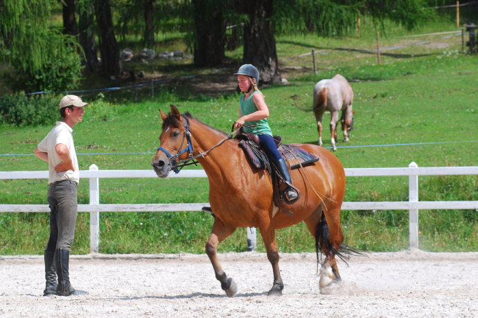 Riding lesson semi-private 40 min (gdl_829416240_image)