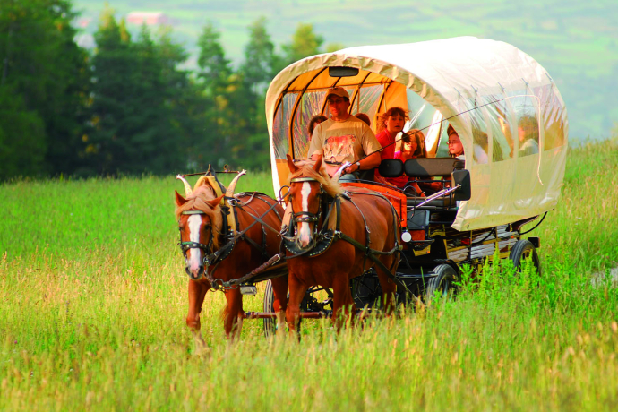 Kutschenfahrt zur Agata (gdl_829593650_image)