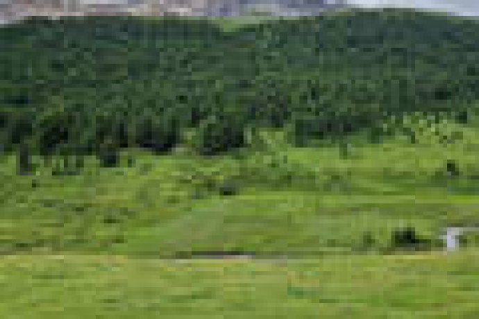 Leadership Retreat: Selfcare & Energy (gdl_845835084_image)