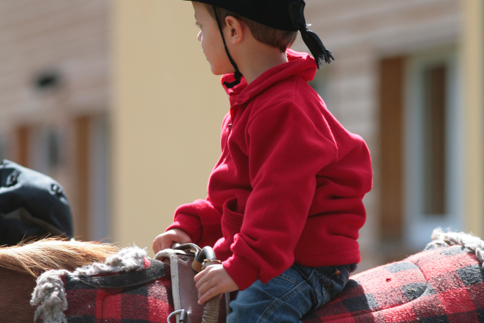 Reitunterricht für die Kleinen (gdl_849684574_image)