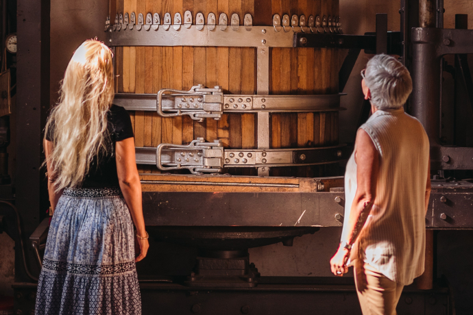 Bündner Weinwanderung (gdl_852590067_image)