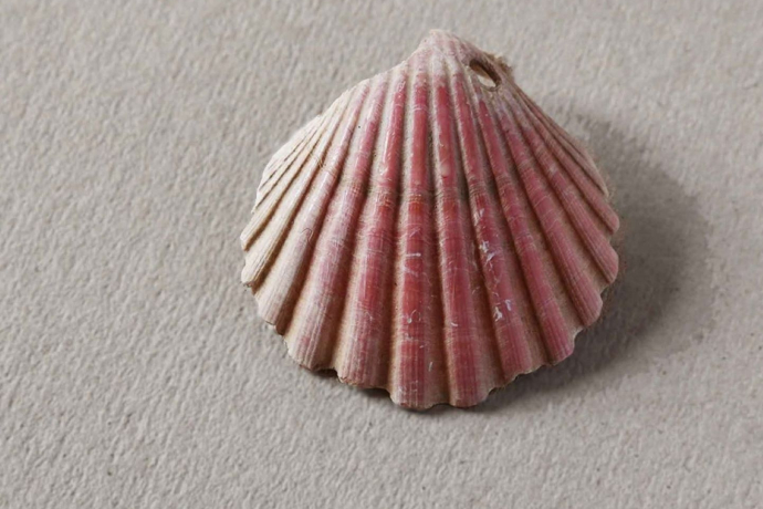 Wege von und nach Müstair (gdl_855013412_image)