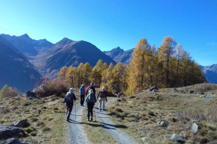 Wanderung für Seniorinnen und Senioren (gdl_855926866_image)