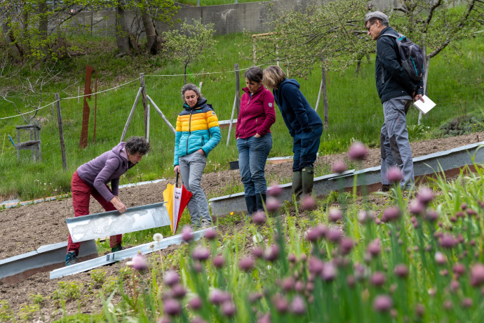 ArosaAkademie «Biodiversität im Garten» (gdl_857939204_image)