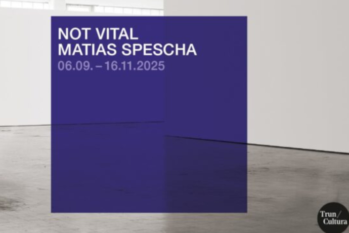 Ausstellung: Not Vital / Matias Spescha in Trun (gdl_860220302_image)