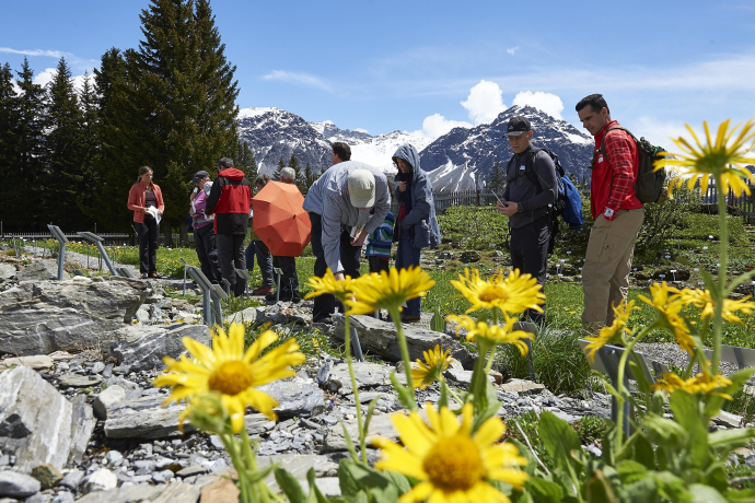 Alpine Garden Maran (gdl_863984837_image)