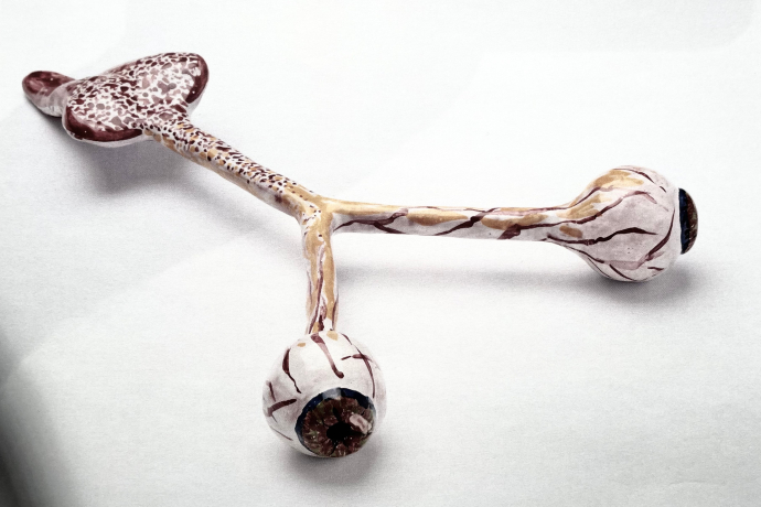 Exhibition Gabriele Stötzer: With hand & foot, skin & hair (gdl_864668668_image)