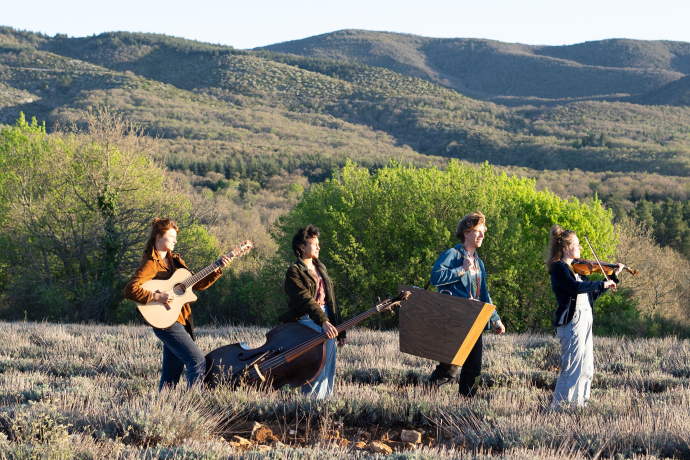 Selveya (gdl_865763215_image)