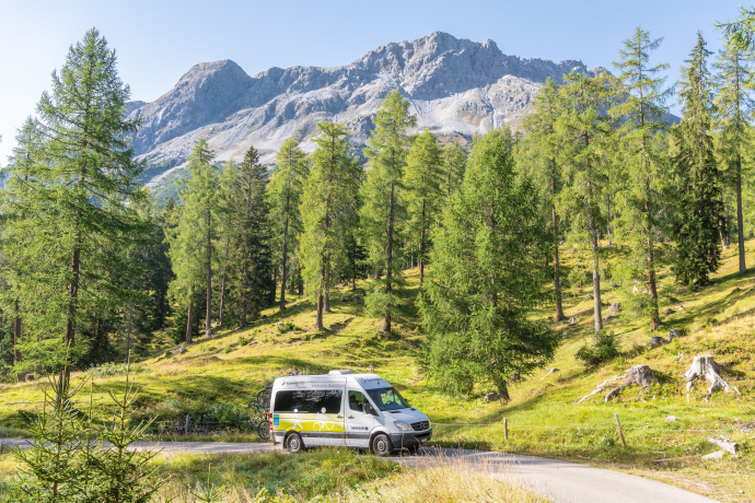 Bike- & Wanderbus Savognin – Plang la Curvanera (gdl_865955756_image)