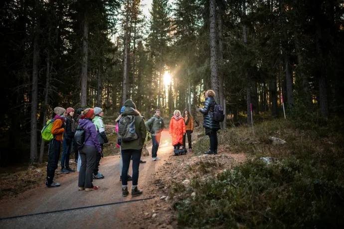 Semaine de base de la médecine du corps et de l’esprit (gdl_866714303_image)