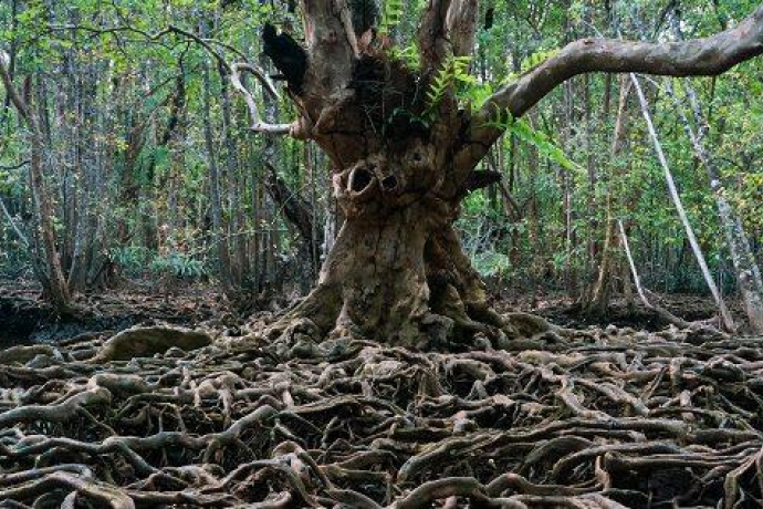 ArosaAkademie «Kinoabend» (gdl_867588517_image)