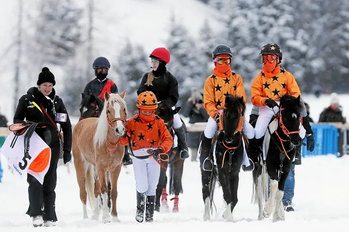 White Turf Family Days 2026 (gdl_869715292_image)