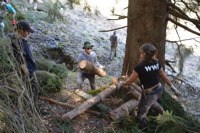 Natur verbindet: Waldrandpflege im abgelegenen Valzeinertal (gdl_872519079_image)