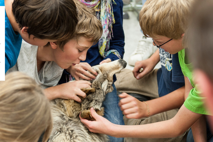 Wolf, Bär und Co. bei uns (gdl_882103830_image)