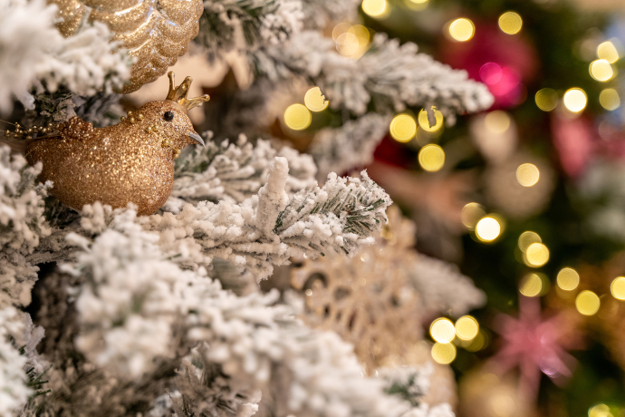 Weihnächtliche Philosophie-Soirée mit Barbara Bleisch und Wolfram Eilenberger (gdl_883804518_image)